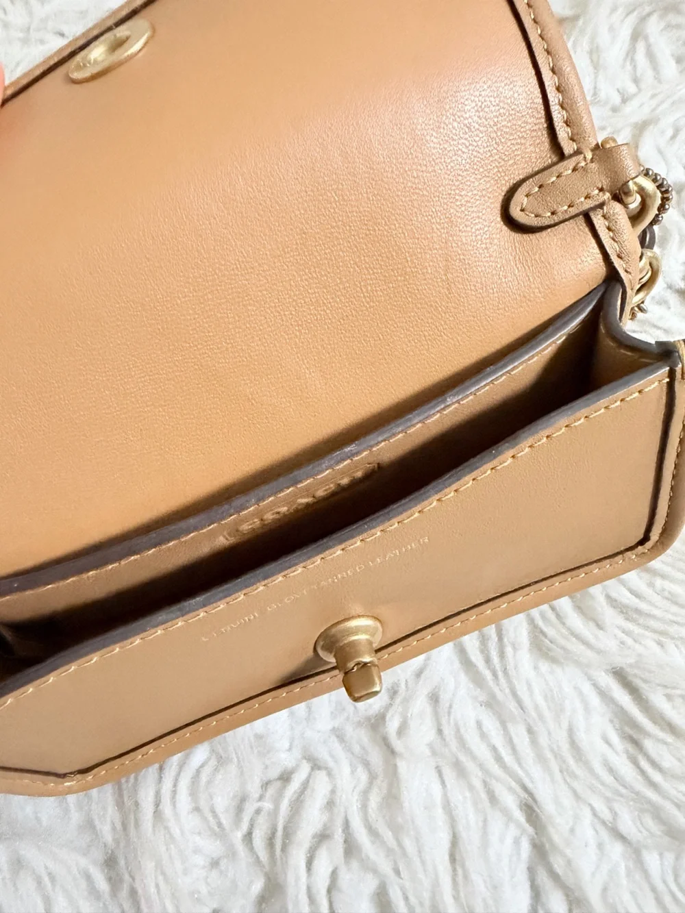 Coach Micro Dinky Bag